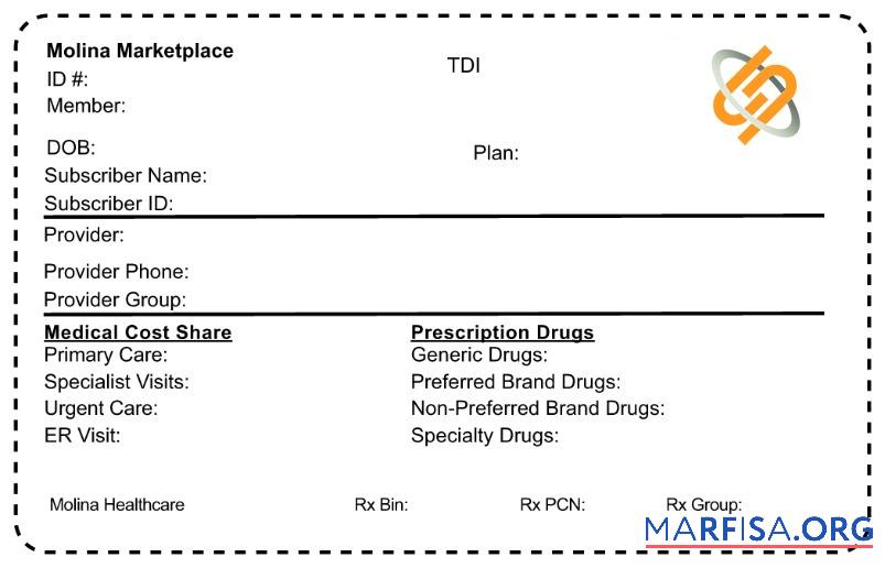 Downloadable North Korea health insurance card example